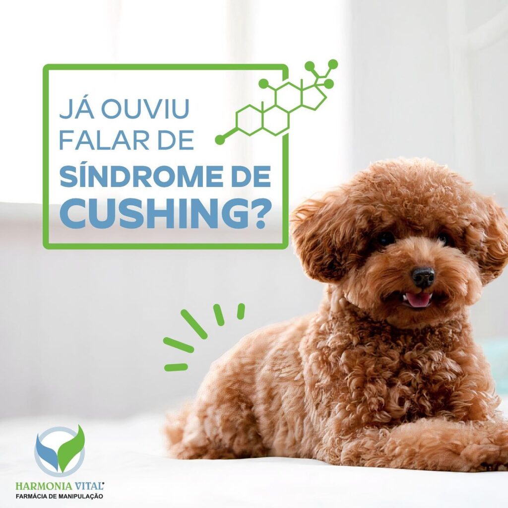Síndrome de Cushing Canina